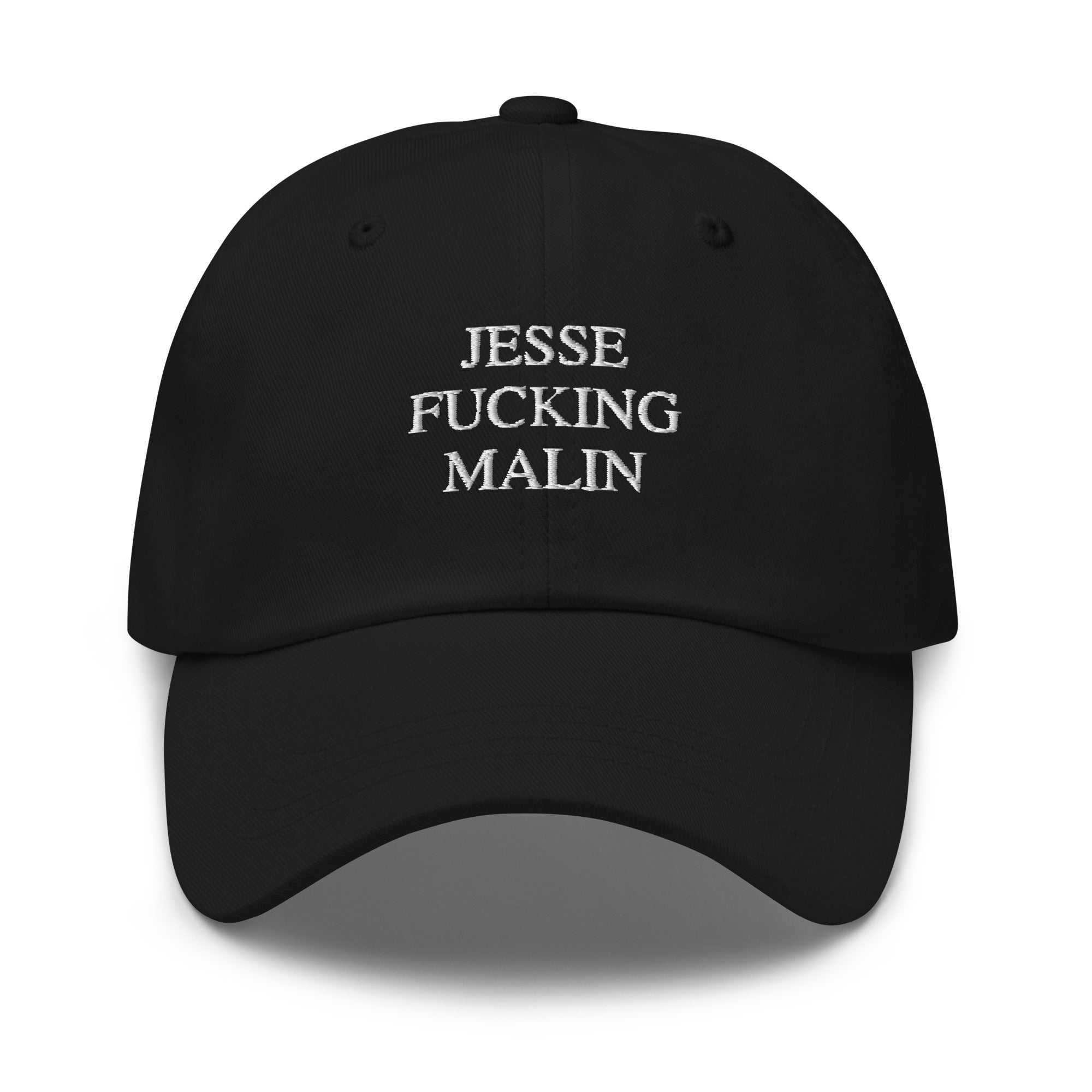 Other Fun Stuff – Jesse Malin